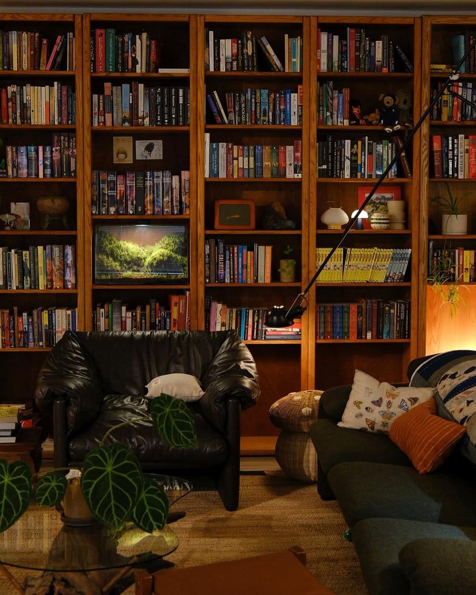amethyst plant on a modern bookshelf