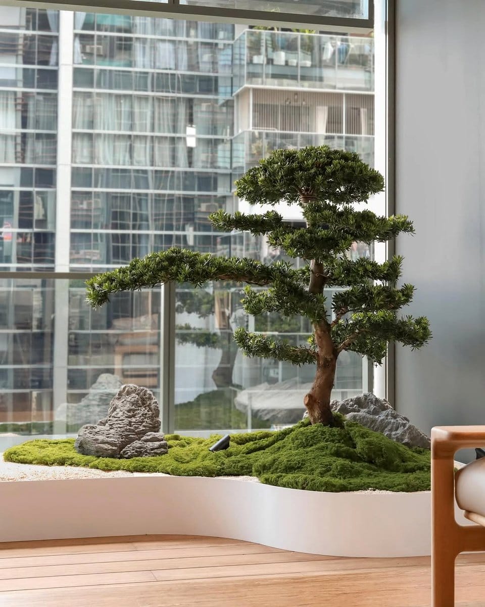 amethyst plant on a sunny balcony with outdoor furniture