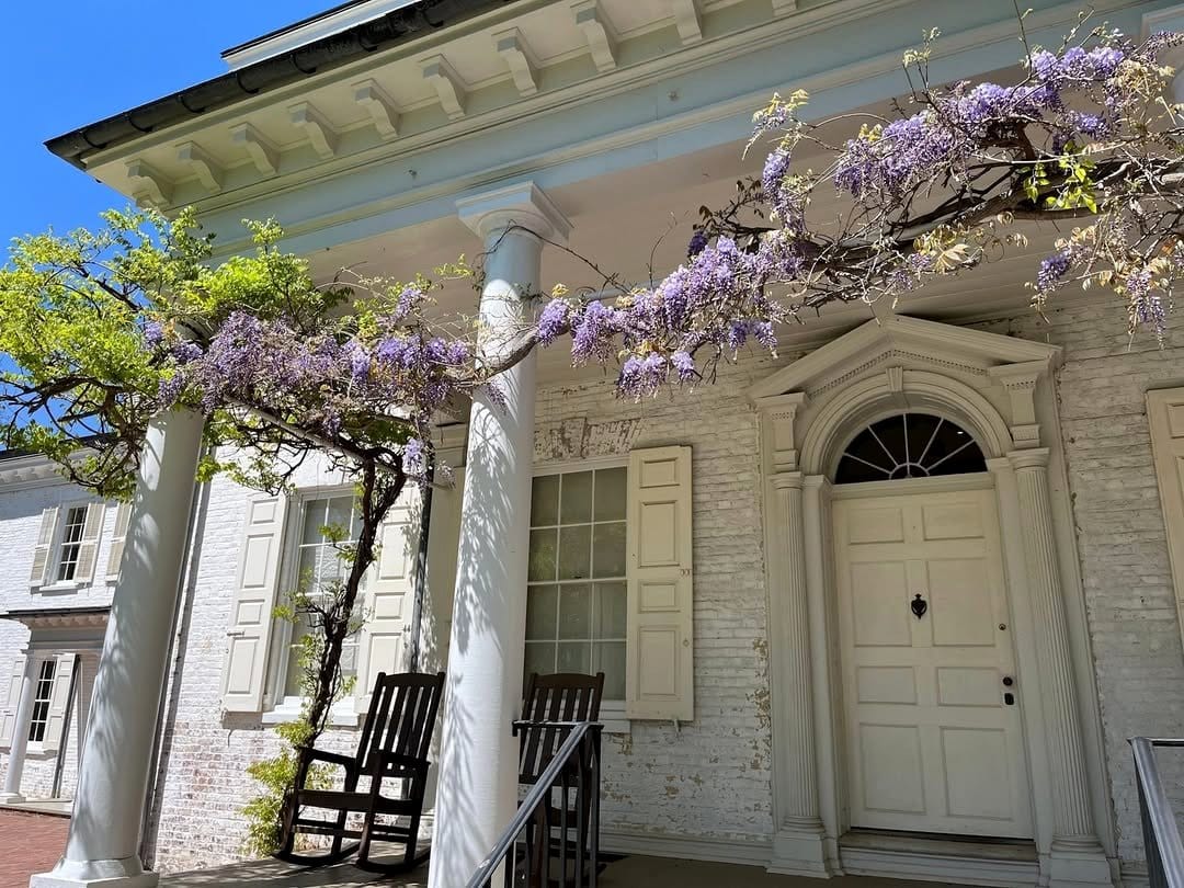 American Wisteria framing a front porch