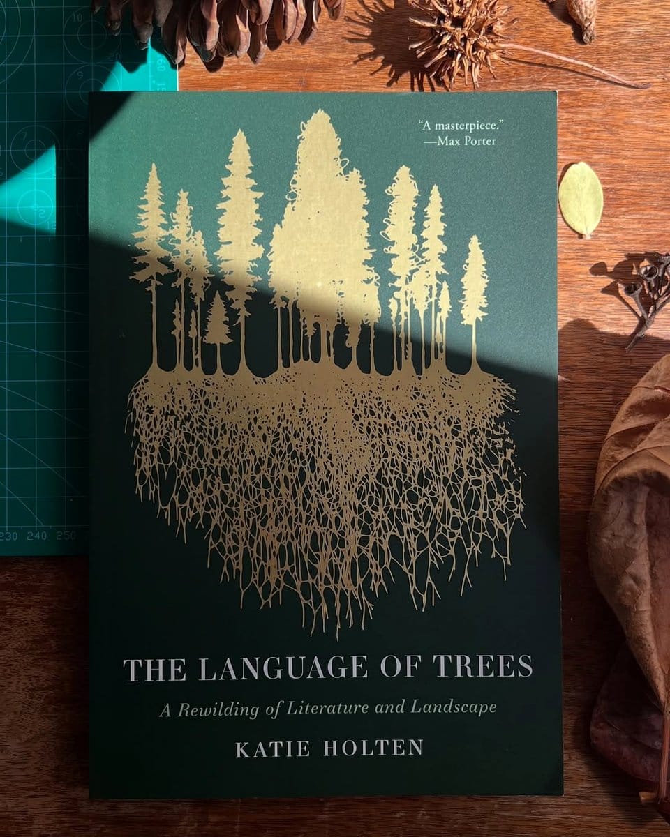 sycamore tree in literature book
