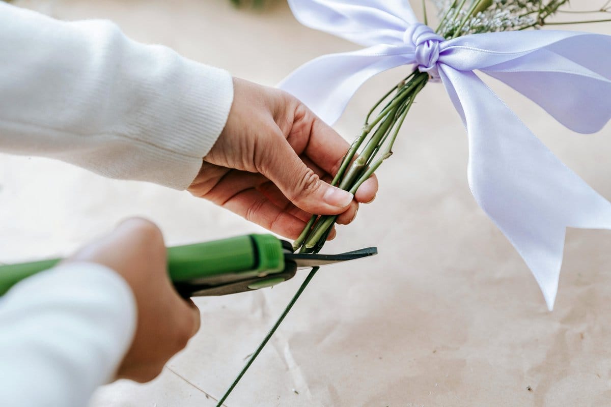 scissors trimming anacharis stems